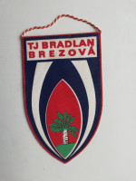 /album/brezova-pod-bradlom/brezova-pod-bradlom-tj-bradlan-19-jpg/
